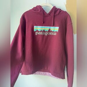 Patagonia magenta hoodie with pockets